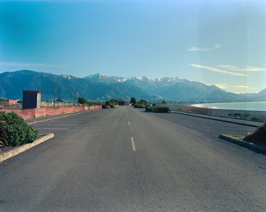 Whale Watch Kaikoura