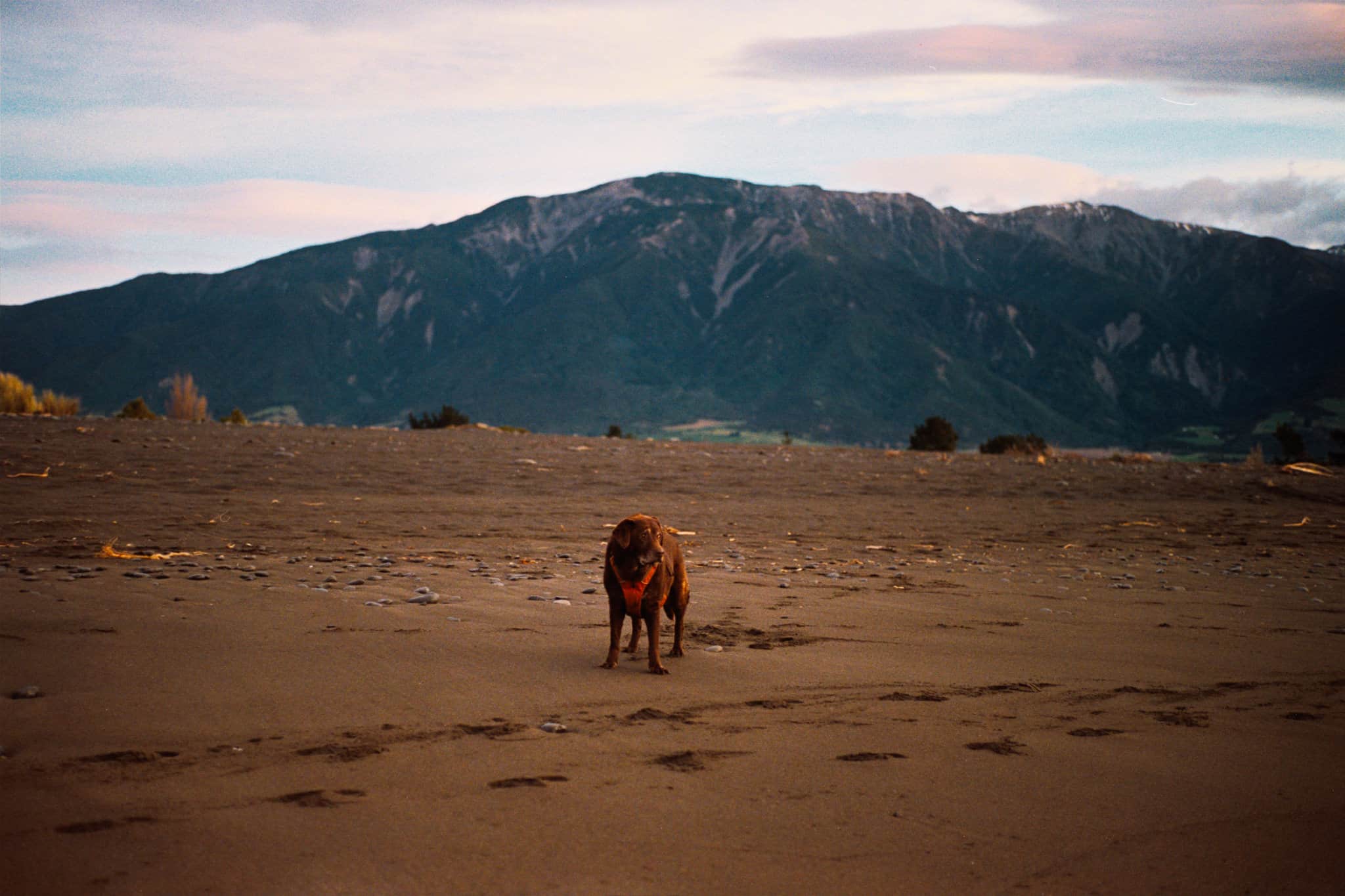 Abby at Middle Creek beach, Kaikōura, early morning